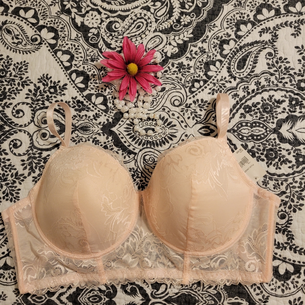 Elegant Lace Underwire Bra - Pale Pink